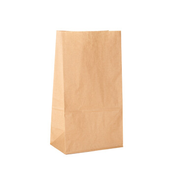 Paper Bag 12"